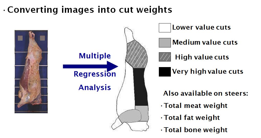 Predicting cuts using VIA images 8% of carcass weight