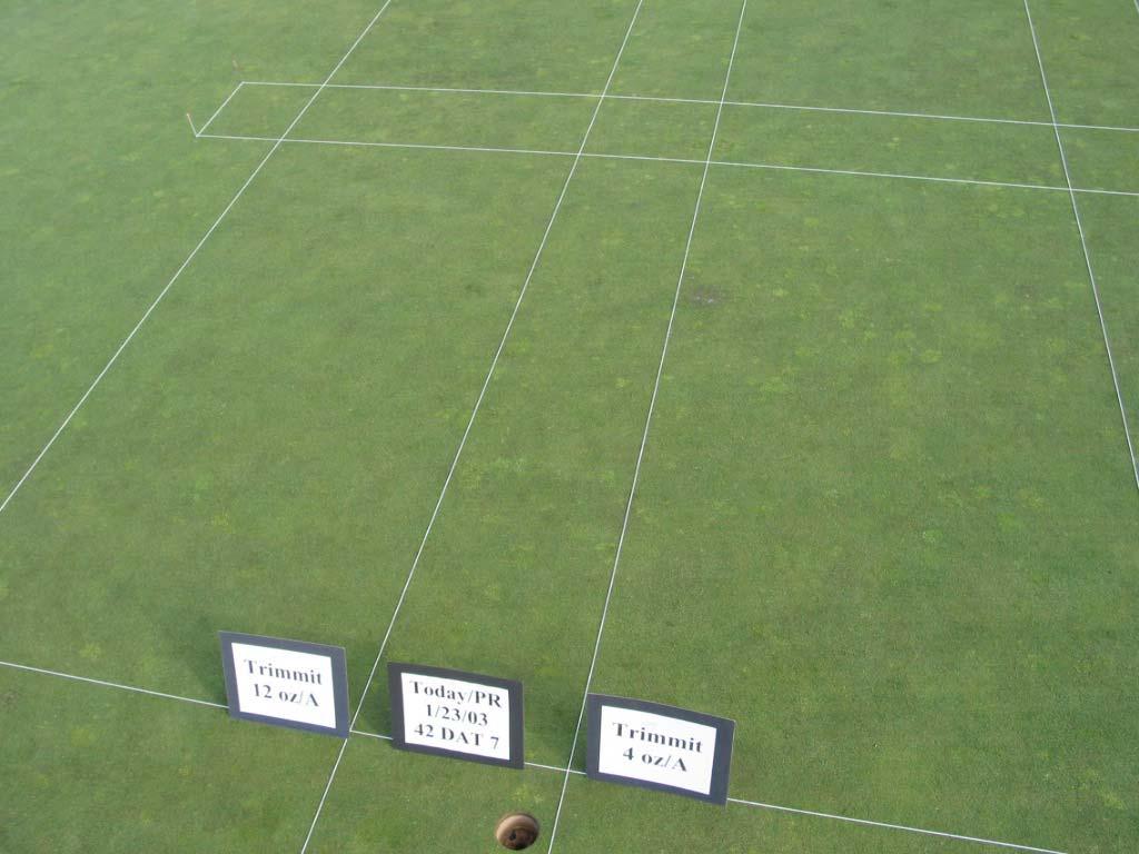 Mark M. Mahady & Associates, Inc. Trimmit SC for Control of Annual Bluegrass in Creeping Bentgrass Putting Greens 1 Photograph 6.