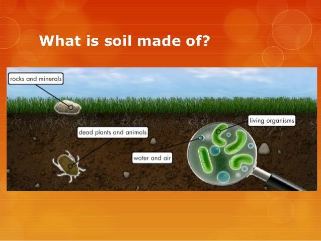 Soil: The Interdependent Link