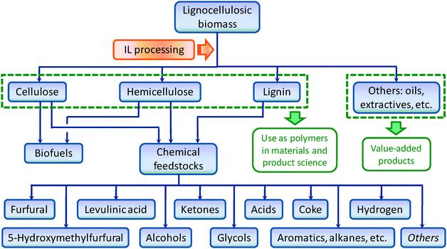 Biorefinery: processing structural biomass
