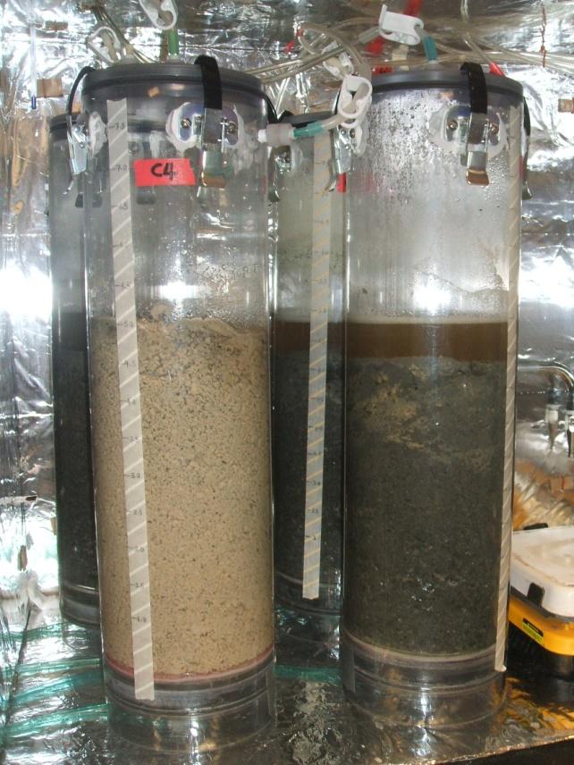 Algefiber: Mixed culture fermentation in Percolation columns