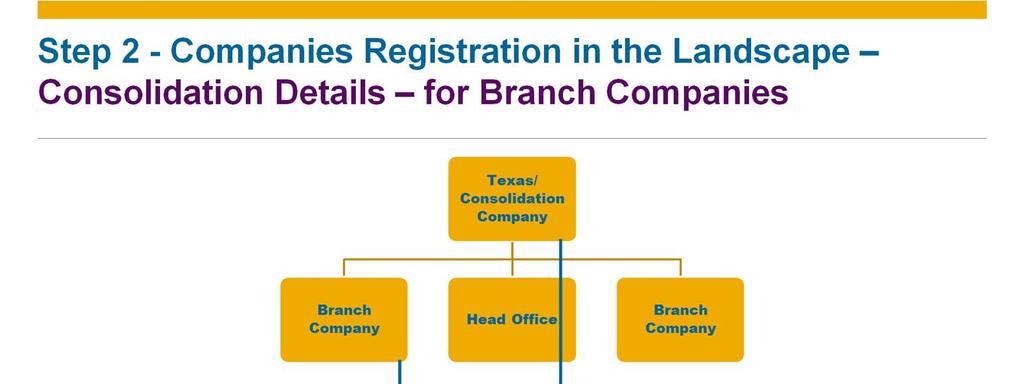 When you are registering a branch company you should also define the consolidation details. In the presented example you can see the details of the California branch.