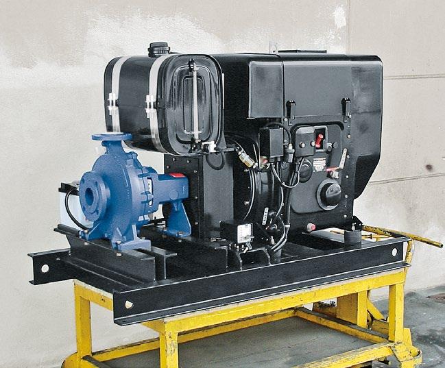 Whether it be a pressure or quantity pump Hatz has the right product for