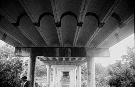 Figure 3.2 Photograph of Pan-Girder Bridge in Buda, Texas Indicating Uneven Surfaces on Bottom of Joists 3.