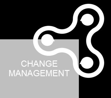 management strategy recommendation including the areas of: OUTCOMES:» Minimize business disruption and boost adoption rates of key stakeholders who are impacted by changes in