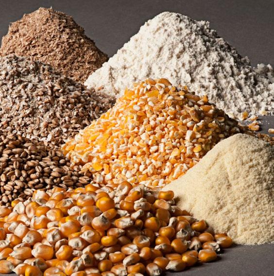 Mycotoxin Reduction in Grain Processing.