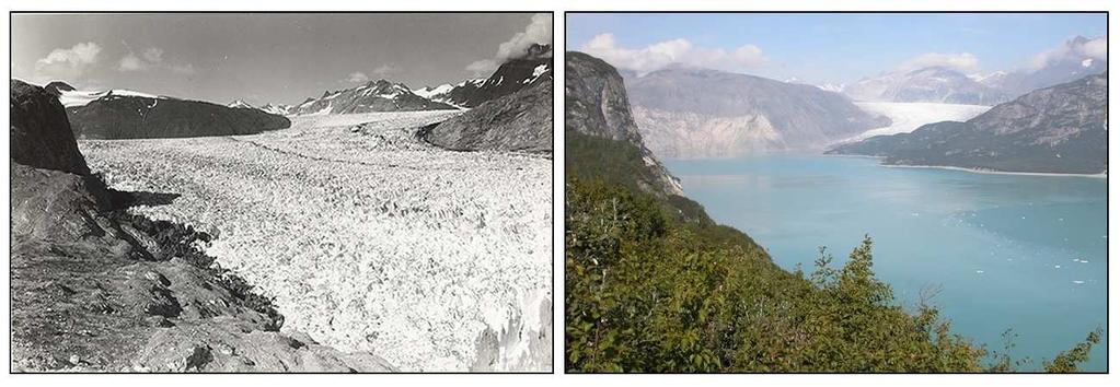 Recession of the Muir Glacier Aug, 13, 1941 Aug, 31, 2004 Image Credit: National Snow and Ice