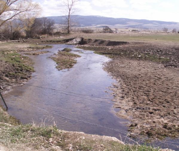 Sediment Sediment: naturally occurring component of healthy and stable stream ecosystems Too much sediment may cause imbalance in the stream Excess inputs