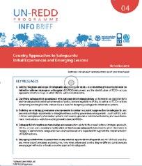 Summaries of information: How to demonstrate REDD+ safeguards are being addressed and respected?