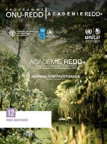 8: REDD+ Safeguards under the UNFCCC (English/ Français/ Español) - a comprehensive response to capacity building needs on safeguards as identified by the countries receiving support from the
