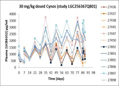 Data Interpretation: impact of ADAs on PK and PD PK 10mg/mL dose PK 30mg/mL 16 PK PD PK PD 13 week repeat dose tox study ADA not measured