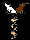 RNAs: mrna trna rrna RNAi DNAs: Protein: genome DNA cdna mikro-makro mono-poly single-multi Analysis: Identification human and animal disease