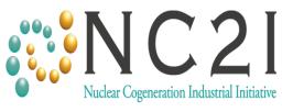 Purpose of DS 2015 With reference to the European energy context and nuclear energy challenges, DS 2015 purpose is: To provide key elements for implementing the Strategic Research & Innovation Agenda