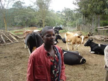 Kenyan Diary Sub-Sector Snapshot Cold Milk- Formal Milk Chain 20% Farmers- 70%