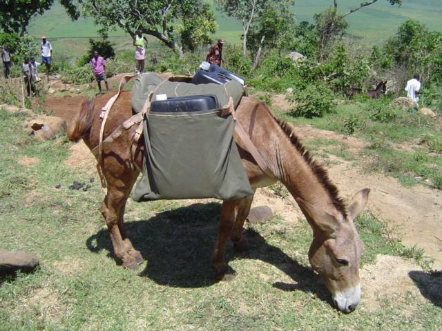 Various bicycle innovations (good uptake) Donkey Harness (reasonable uptaketoo expensive) Fuel efficient pasturiser (not successful) Charcoal coolers (not successful)