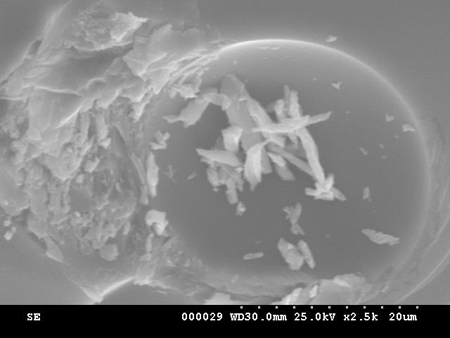 crystalline phase formed after the thermal treatment. 3.6.