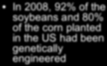 In 2008, 92% of the soybeans and 80% of the corn planted in the US had been genetically engineered