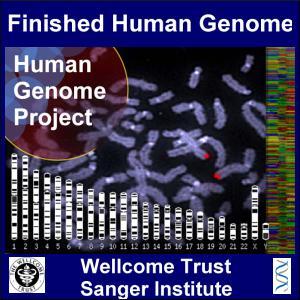 genetic differences between people will usher in a new era of personalized medicine evolution human genome [4 min] http://www.youtube.com/watch?
