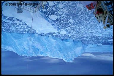 Antarctic continent is surrounded by floating ice sheets called ice shelves.