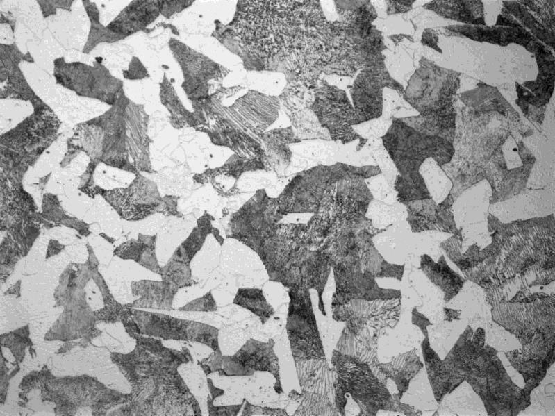 Micrograph showing pearlite