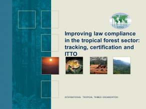 Improving law compliance in the tropical forest sector: tracking, certification and ITTO Steven Johnson (ITTO) I work for ITTO 1 based in Yokohama, Japan.