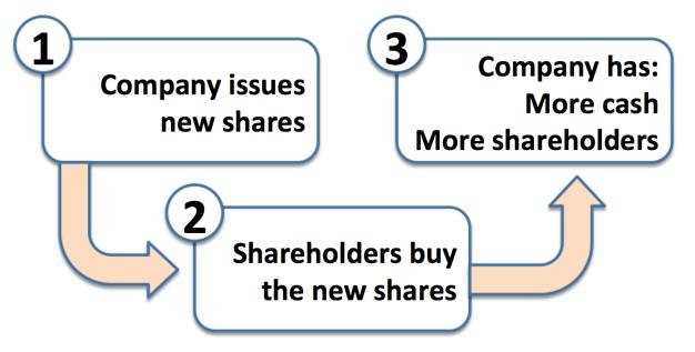 Topic: Shares, Shareholders and Share Prices 3.1 What is Business?