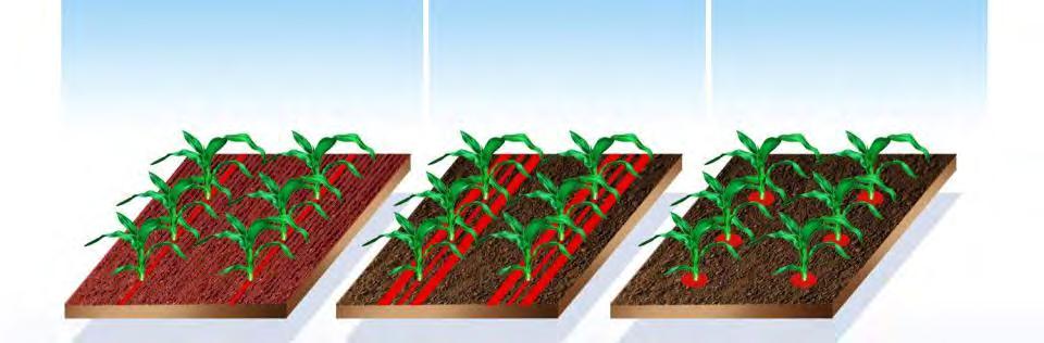 Neonicotinoid Seed Treatments Treatment of whole area (spray) In-furrow treatment with granules Seed treatment ( do more with less ) 1% of a field is treated compared to broadcast spray