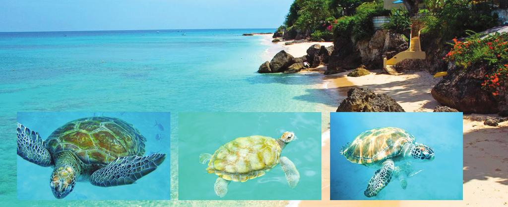Ecology Ecology is the study of the interactions between living organisms and their environments. If you choose the Ecology major, you will take core ecology subjects at Level II (e.g. Population Ecology and Community Ecology, Marine Biology, Caribbean Island Biogeography), then choose from marine (e.