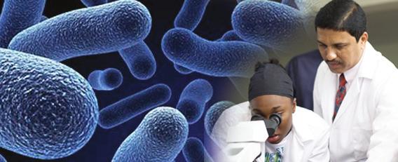 Microbiology Microbiology is the study of microscopic living organisms such as bacteria, viruses, fungi and protists.