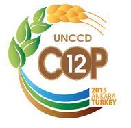2015 COP 12 of the UNCCD in Ankara, Turkey Defined LDN : State whereby the amount and quality of land