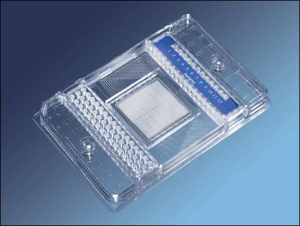 Digital PCR Partition a sample into many individual real-time PCR reactions.
