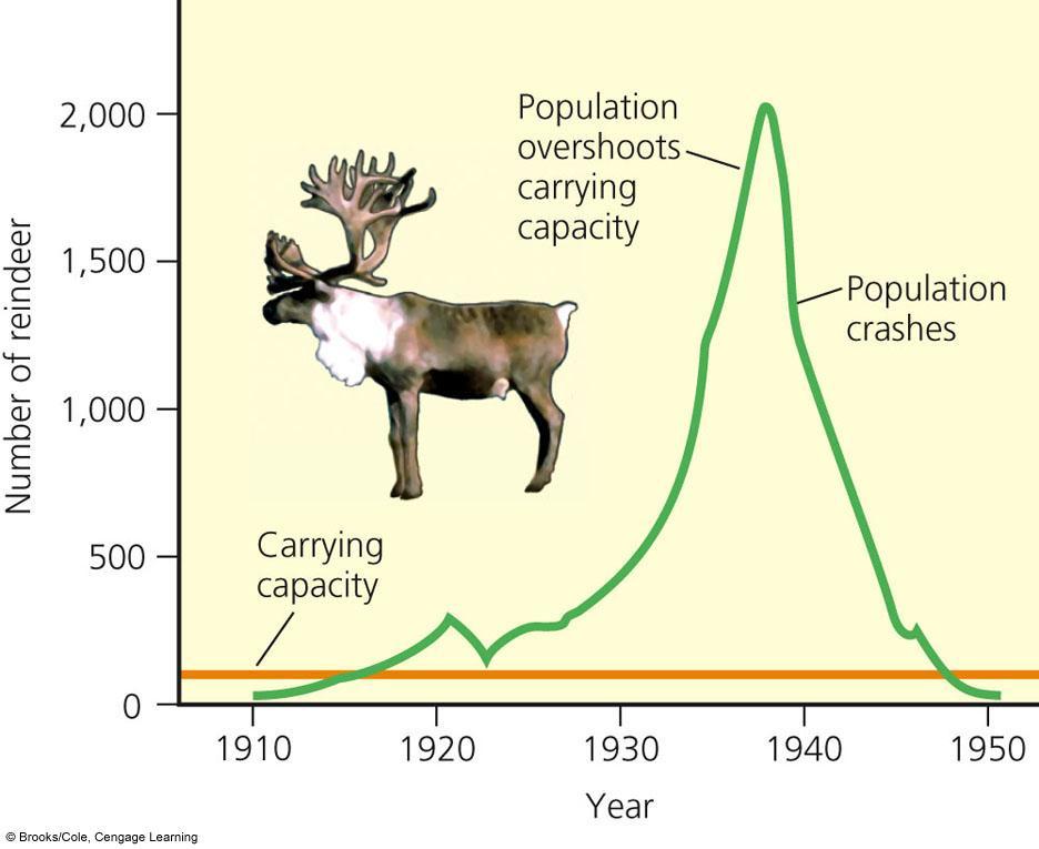 When a Population Exceeds Its Habitat s Carrying Capacity, Its Population Can Crash Carrying capacity: not