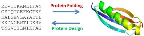 Problem definition Given the desired three dimensional structure of a protein, design an amino acid sequence that will assume that structure.