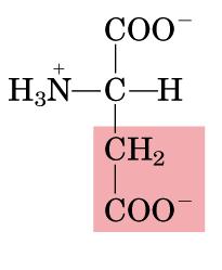 Aspartate or Aspartic acid Acidic Aspartic acid or