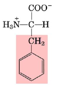 Phenylalanine Cyclic,