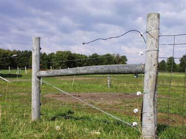 Make a fence-building priority plan; people rarely build all of their fence in one year. A good fence includes wellbuilt corner and end posts.