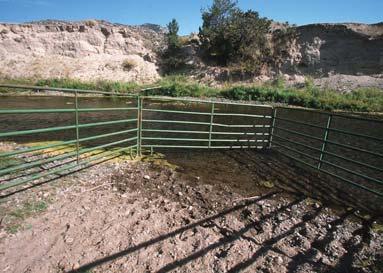 The key is to monitor the streamside areas in your pasture to maintain a healthy ecosystem.