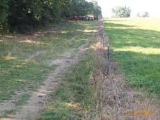 Lanes Width: Machinery Movement through lanes 25 feet has worked well Make gates same width as lanes If trail begins to erode, run hotwire down middle of trail.