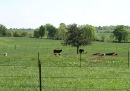 Keep livestock within 800 feet of water Follow landscape lines for paddock boundaries Make paddocks of similar grazing capacity Plan lanes for livestock movement only Provide secure training
