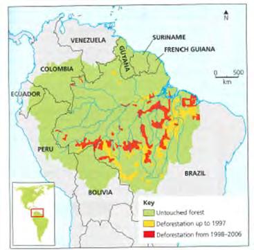 Who own most of the world s tropical rainforest?