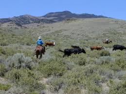 Chapter 7 Livestock Grazing and Rangeland Issues Learning Objectives: 1) To discuss contentious issues involving livestock grazing on arid and semiarid rangelands: Desertification Watersheds,
