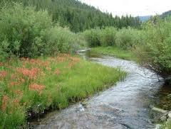 II. RANGELANDS, LIVESTOCK, AND DESERTIFICATION Riparian area: The zone between a river or stream and the nearby