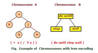 2.9.2.7 Tree encoding Tree encoding is used mainly for genetic programming. In the tree encoding every chromosome is a tree of some objects, such as functions or commands in programming language.