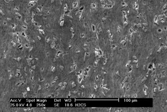4a 4b Figure 4: SEM micrograph (250 ) showing the