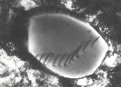 Transmission electron micrograph of dislocations https://en.wikipedia.