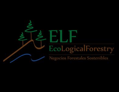 Our core business: FORESTRY INVESTMENT