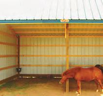 an enclosure with corrals attached to it for runs.
