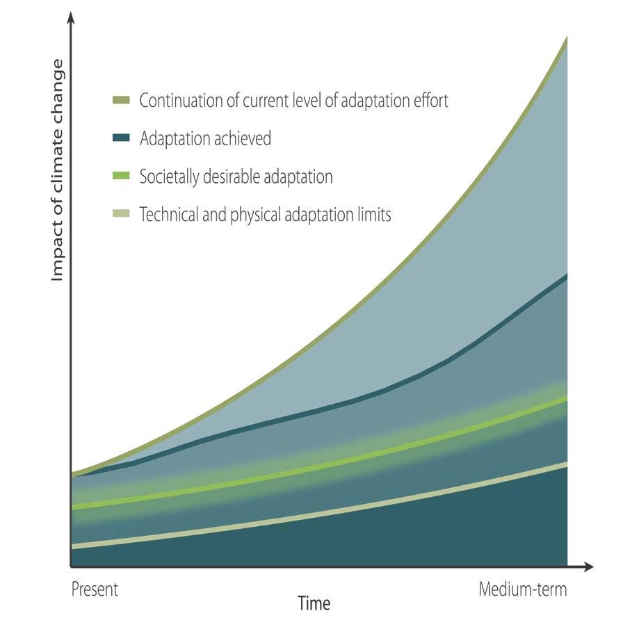 The Adaptation Gap Goals.