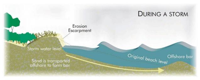 Erosion and accretion can occur in a cyclic pattern, ranging in timeframes from seasonal up to several decades (particularly on sandy coastlines).