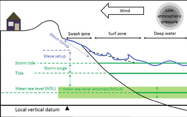 3 Components of coastal sea level Components of coastal sea level. Source: NIWA The elevation that the sea reaches at a shoreline is determined by the following components.